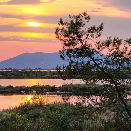 La Parenthese Hyeroise T3 Sur Le Port De Apartamento