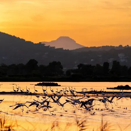 La Parenthese Hyeroise T3 Sur Le Port De * Hyères