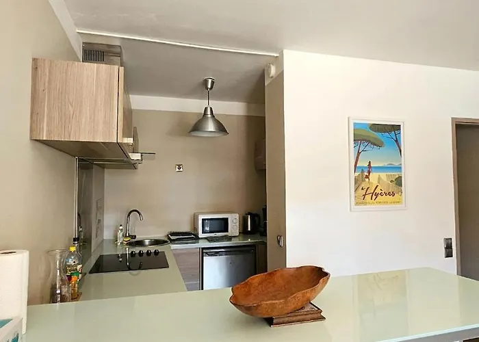 La Parenthese Hyeroise T3 Sur Le Port De Lejlighed