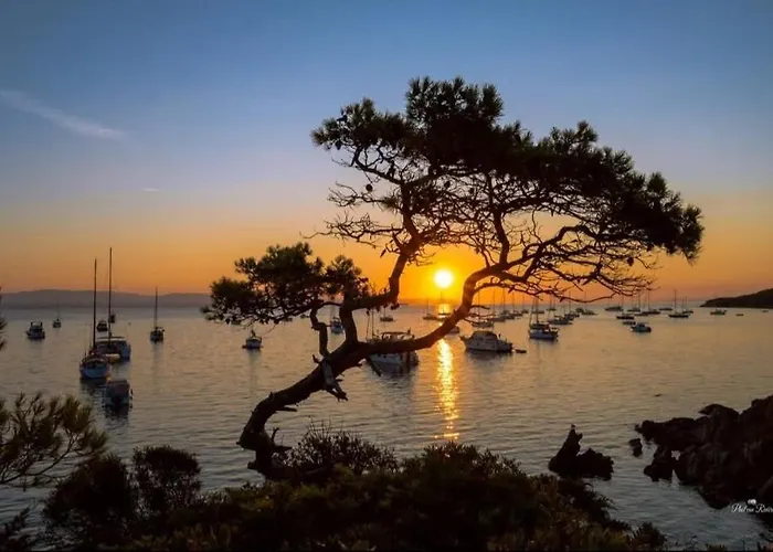 Lejlighed La Parenthese Hyeroise T3 Sur Le Port De