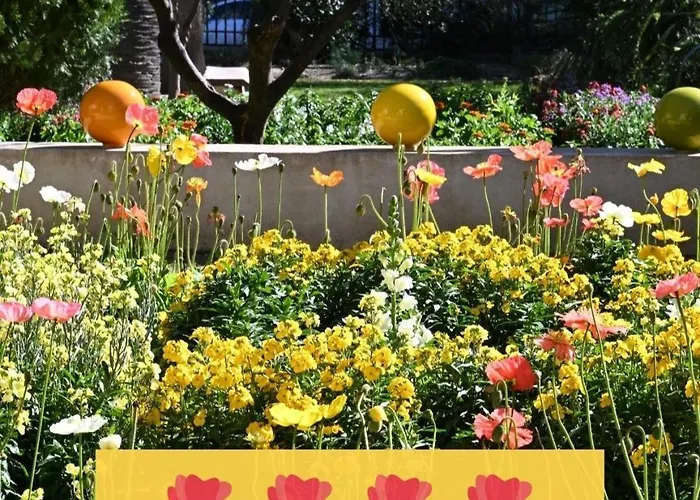 Lejlighed La Parenthese Hyeroise T3 Sur Le Port De