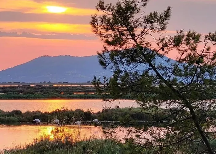 La Parenthese Hyeroise T3 Sur Le Port De Lejlighed