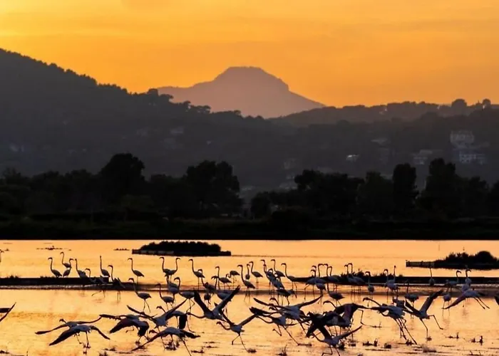 La Parenthese Hyeroise T3 Sur Le Port De * Hyères